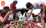 [ẢNH] Xem người Hà Nội đi chợ ăn Tết 